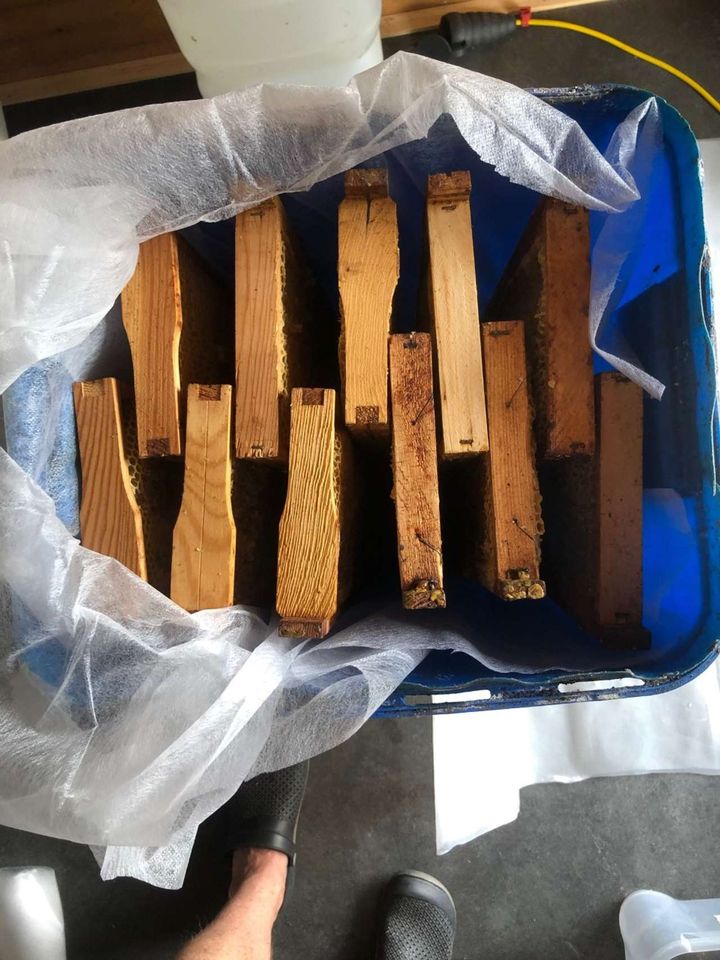 Füttern ist angesagt Bild 3