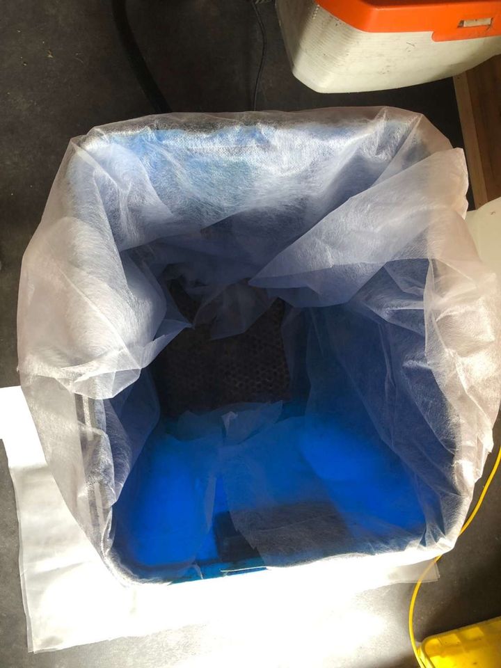 Füttern ist angesagt Bild 4