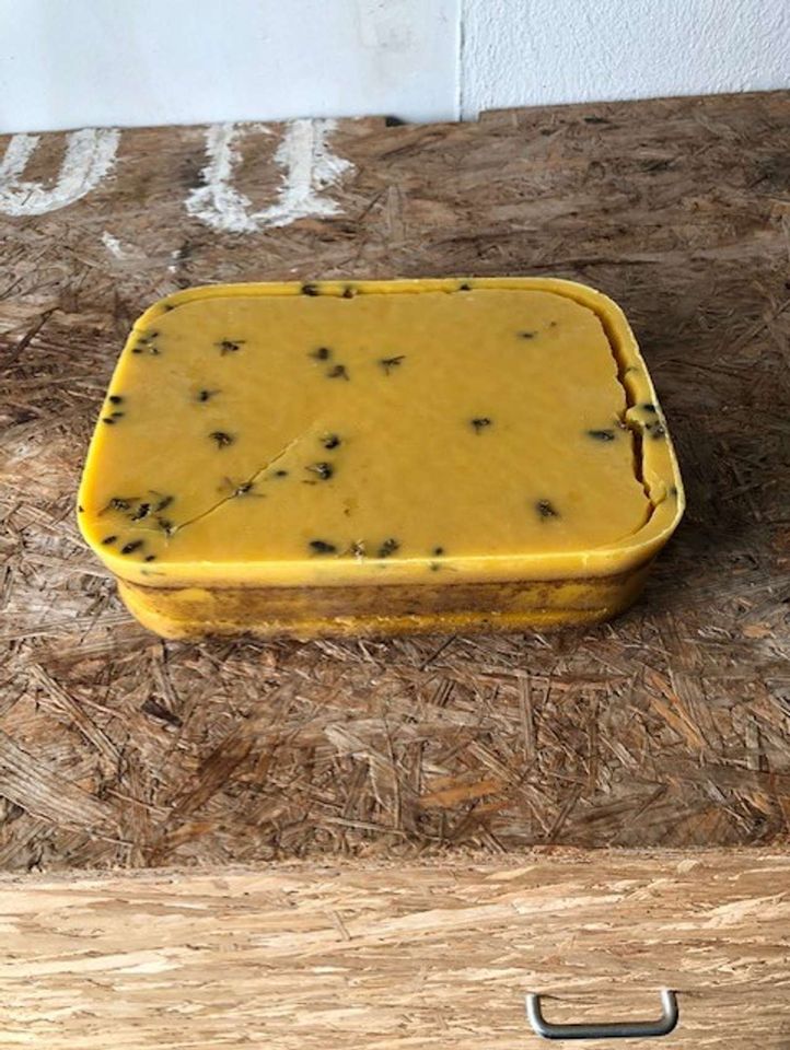 Füttern ist angesagt Bild 6