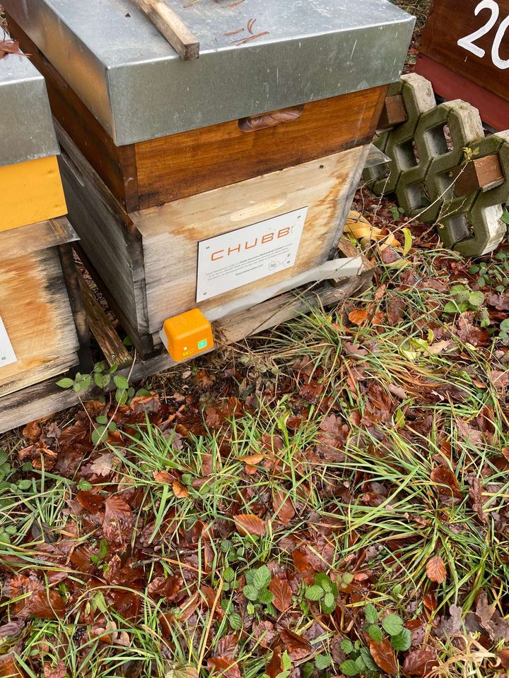 Winterbehandlung Bild 1