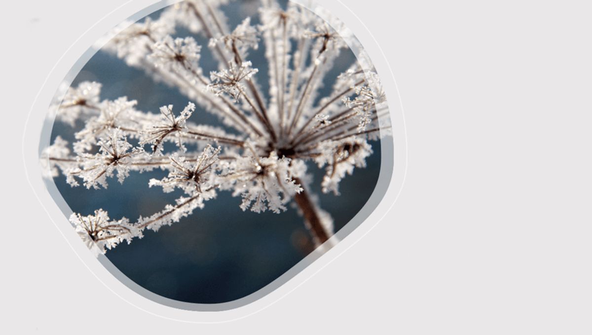 Mollig warm durch den Winter