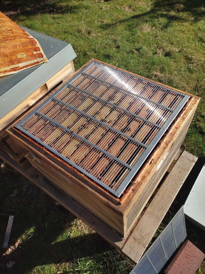 Erste Durchsicht Bild 2