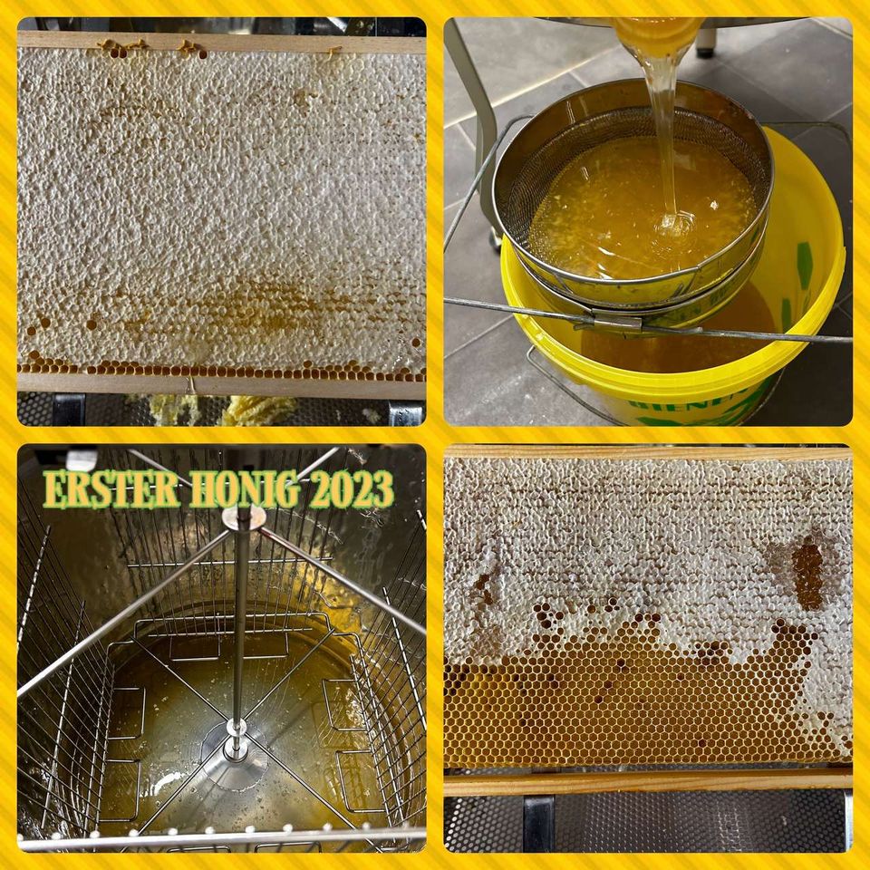 Honigernte 2023 Bild 2