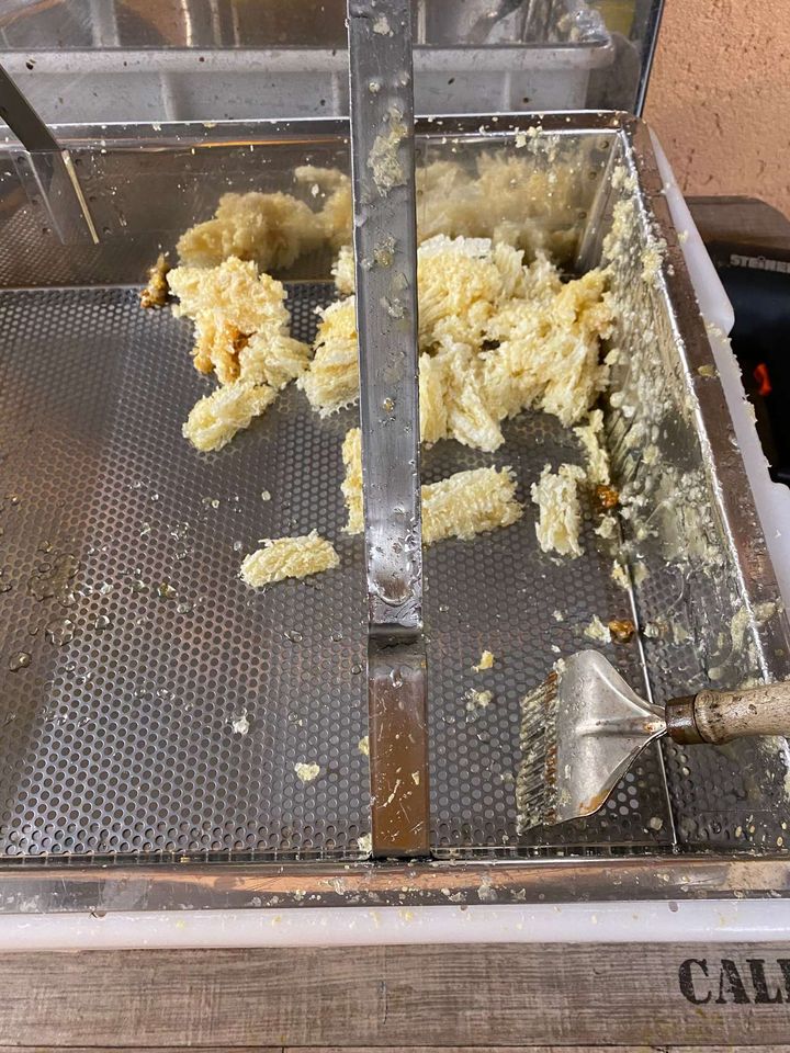 Honig ernten und bearbeiten Bild 2