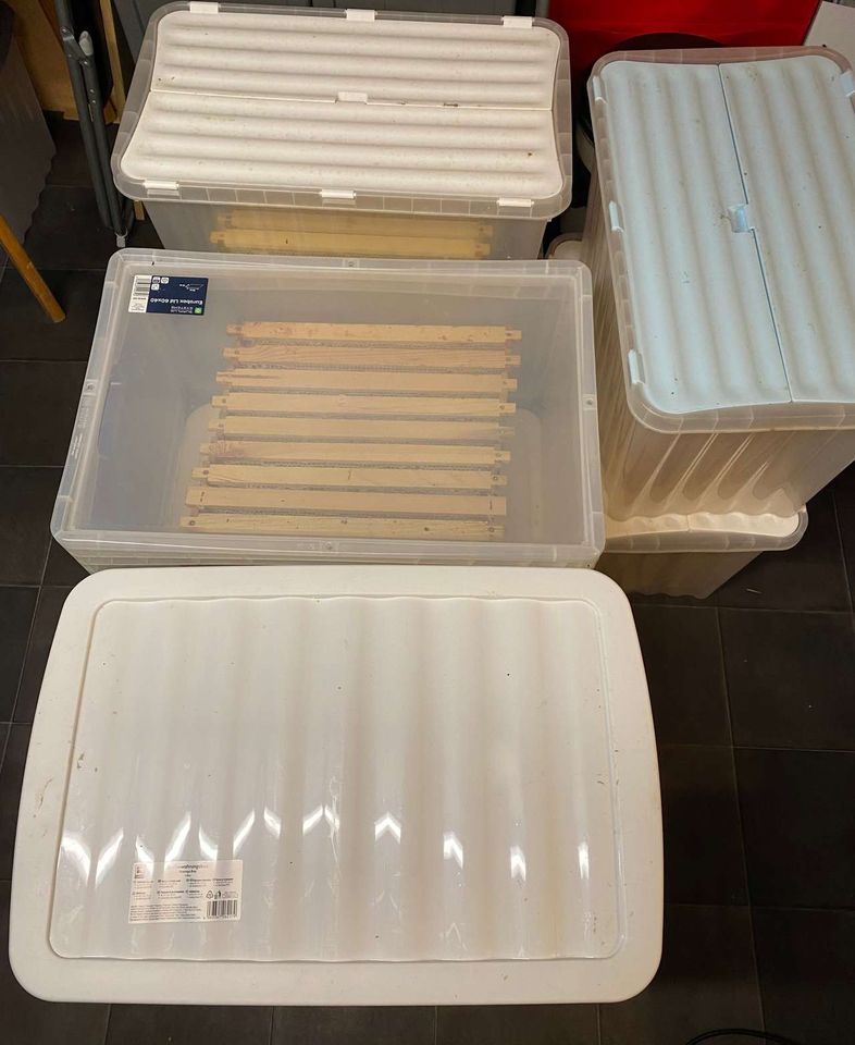 Honig ernten und bearbeiten Bild 4