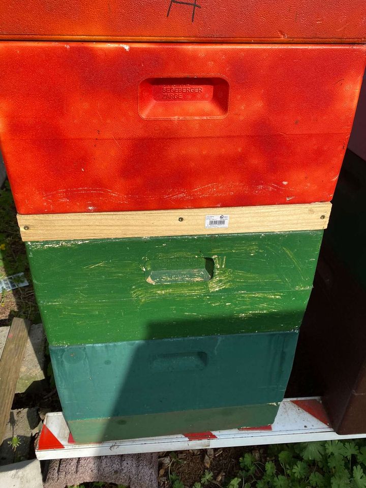 Honig ernten und bearbeiten Bild 5