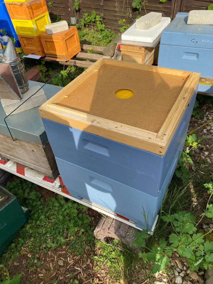 Honig ernten und bearbeiten Bild 6