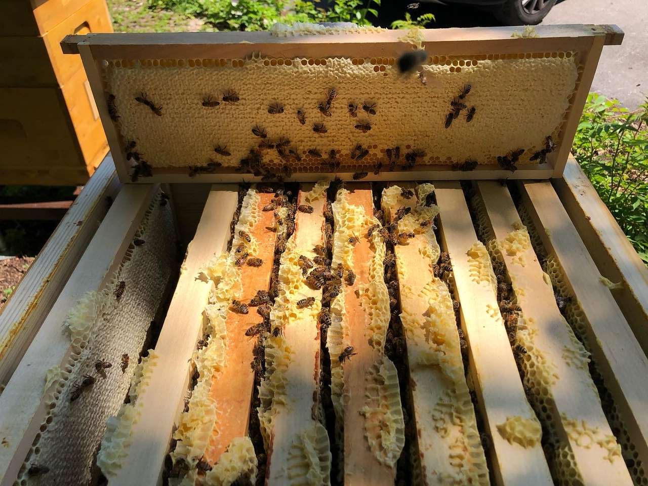 Reif für die Ernte Bild 1