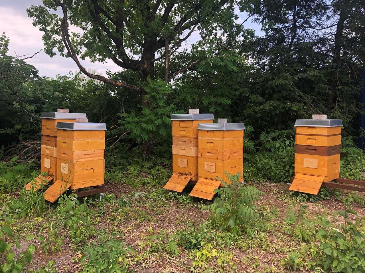 Reif für die Ernte Bild 2