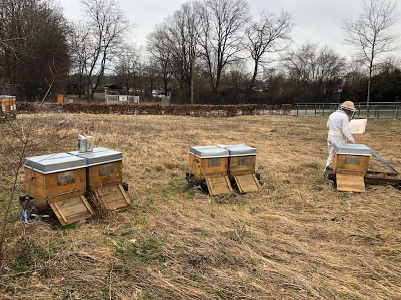 Erste Durchsicht im Frühjahr