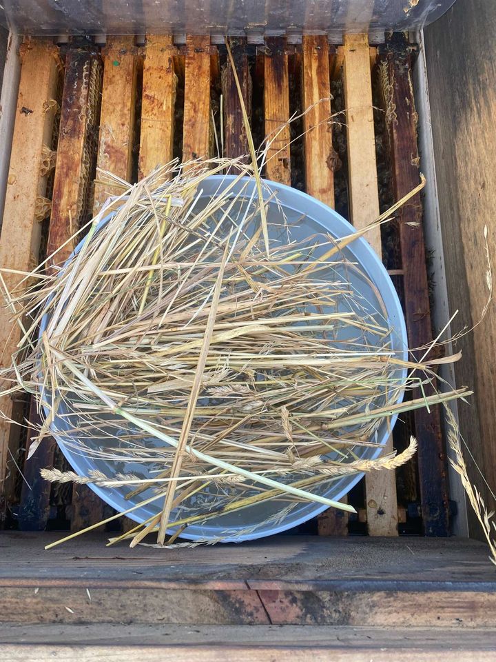 Bienenableger füttern