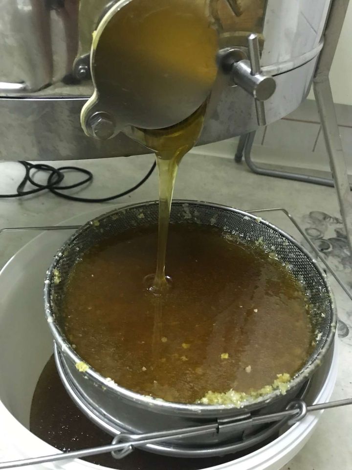 Die erste Honig Ernte