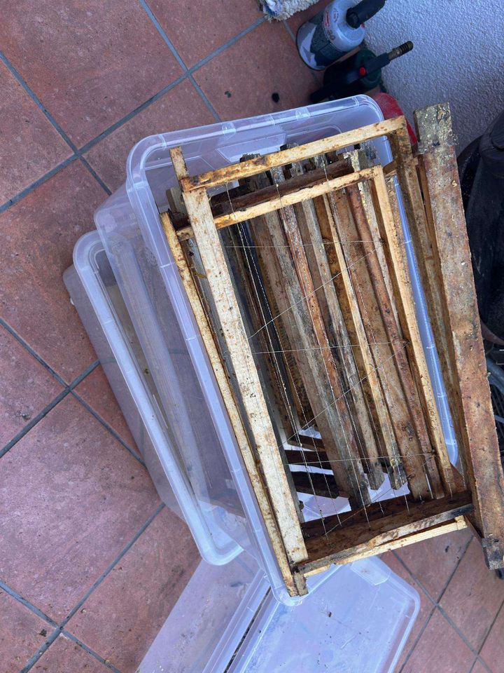 Eine heisse Sache. Bild 2