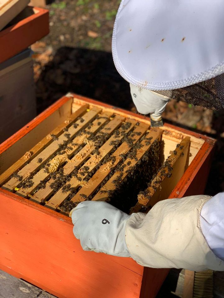 Frühjahrsdurchsicht Bild 1