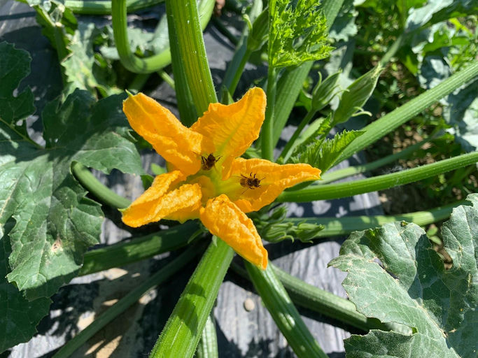 BioFerdl GmbH Bild 3