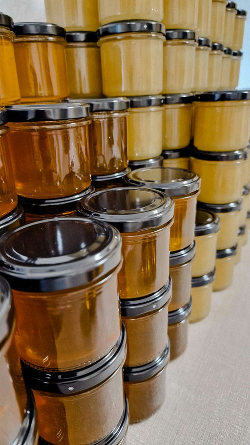 Honigernte und Honig abfüllen