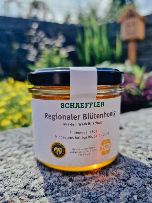 Honigernte und Honig abfüllen Bild 3