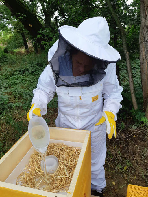 Füttern, füttern, füttern Bild 2