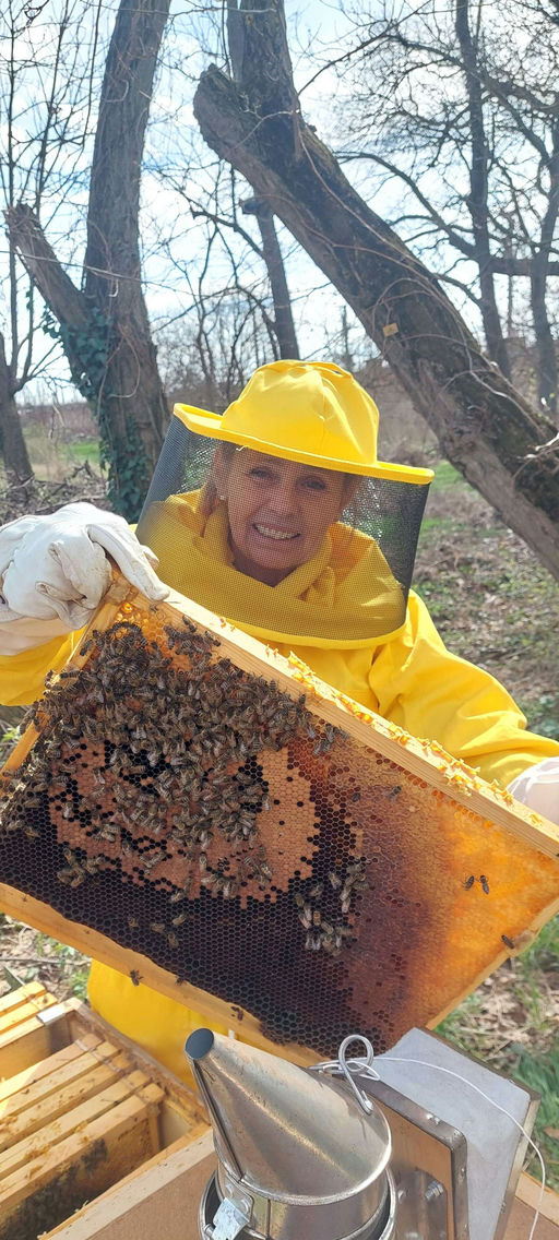 Langsam geht es wieder los Bild 1
