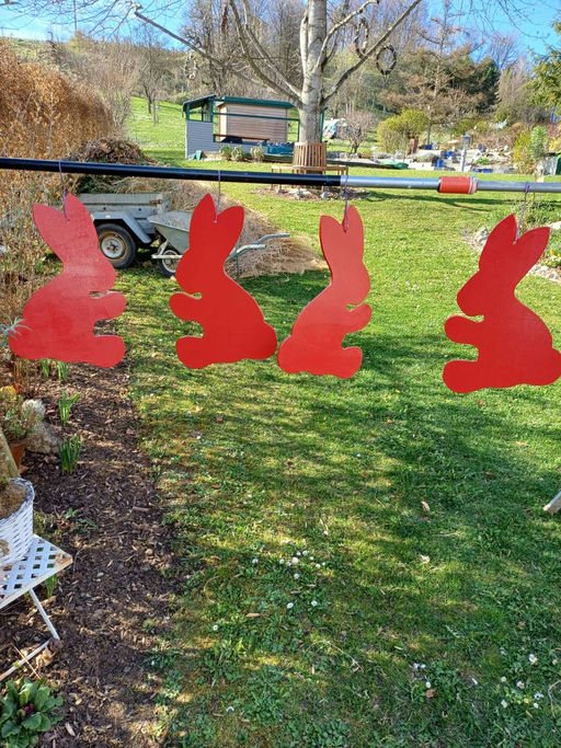 Langsam geht es wieder los Bild 2