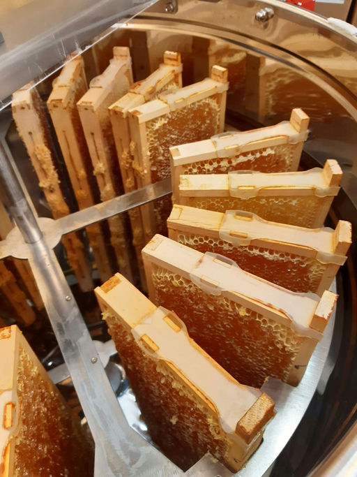 Das Monat der Ernte Bild 2