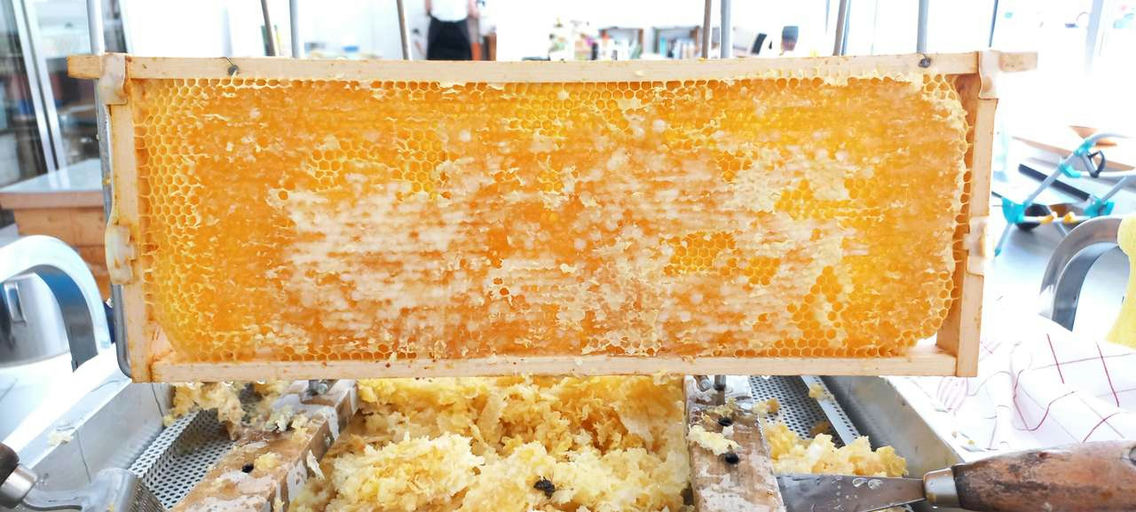 Das Monat der Ernte Bild 4