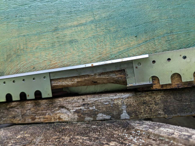 Flugloch verengen und Varroabehandlung Bild 1