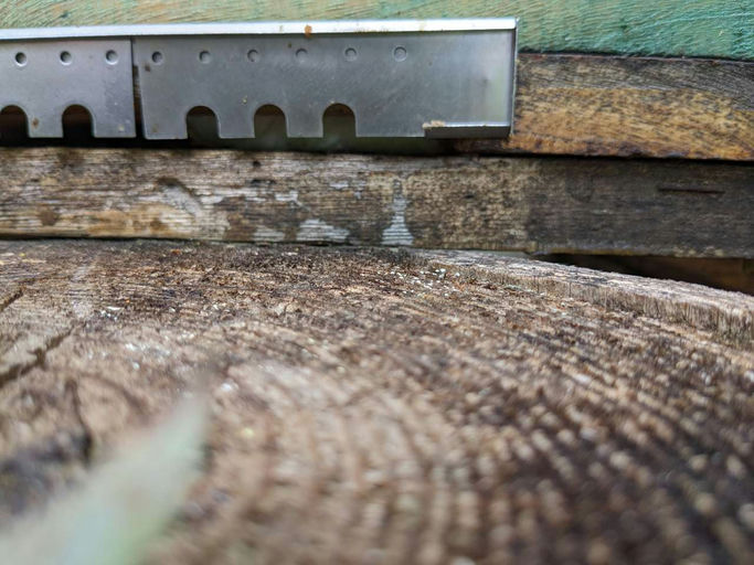 Flugloch verengen und Varroabehandlung Bild 2