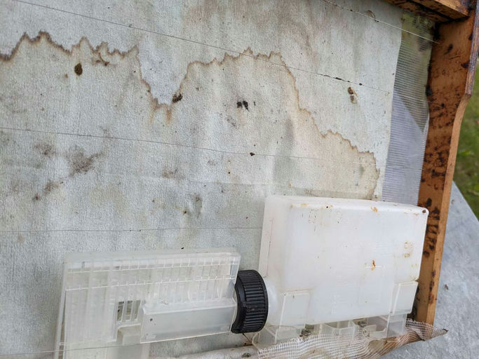 Flugloch verengen und Varroabehandlung Bild 3