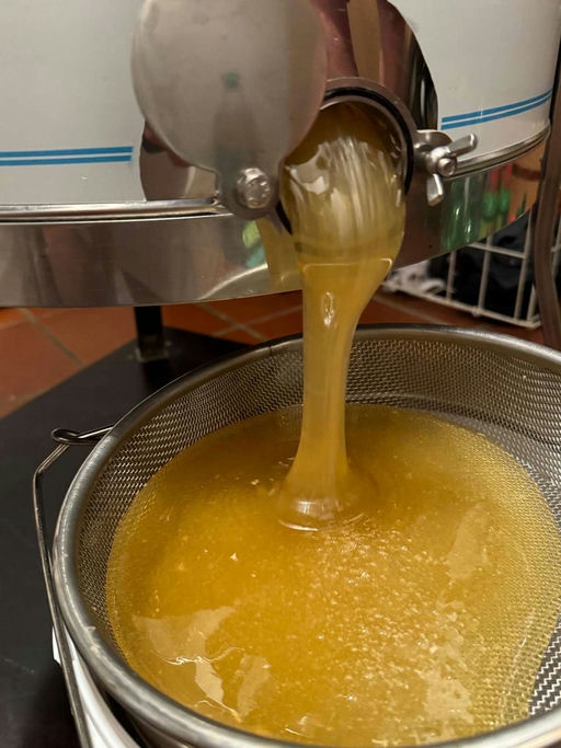 Honig Schleudern Bild 3