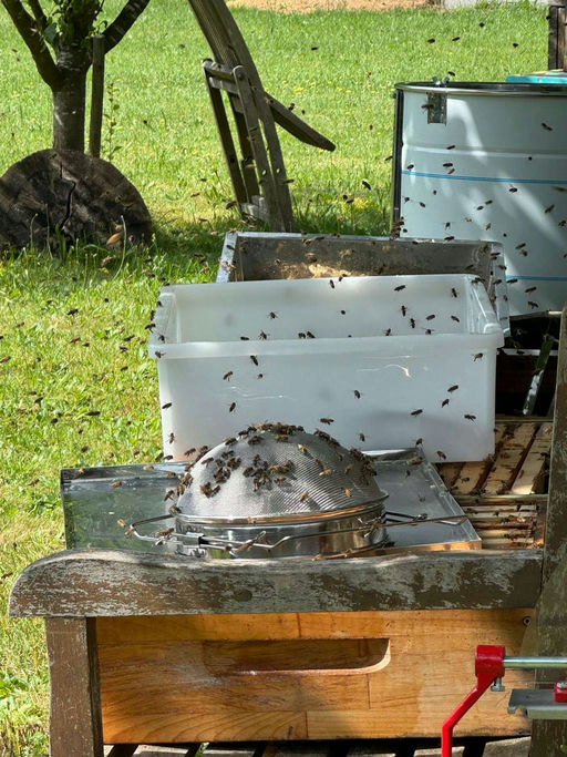 Honig Schleudern Bild 5