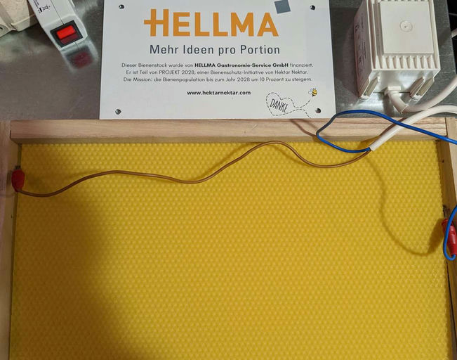 Rähmchen mit Mittelwänden für Nutzung im Frühjahr vorbereiten Bild 1