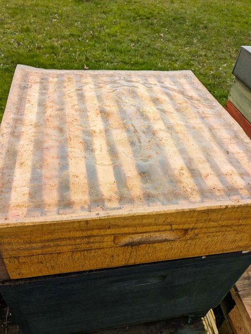 Sehr frühe Tracht der Kirsche, d.h. bereits jetzt Honigräume aufsetzen Bild 8