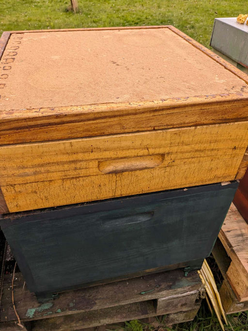 Sehr frühe Tracht der Kirsche, d.h. bereits jetzt Honigräume aufsetzen Bild 9