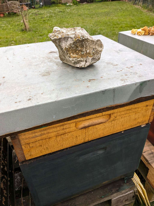 Sehr frühe Tracht der Kirsche, d.h. bereits jetzt Honigräume aufsetzen Bild 10