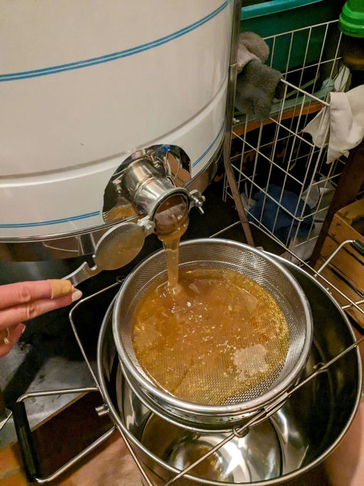 Honigernte 2023 Bild 1