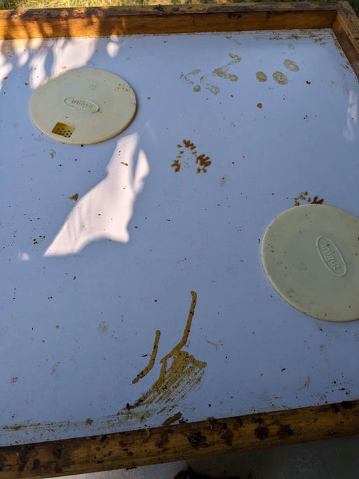 Honigernte 2023 Bild 4