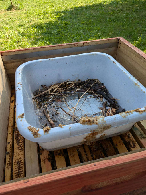 Winterfütterung meiner aktuelle 5 Völker Bild 1