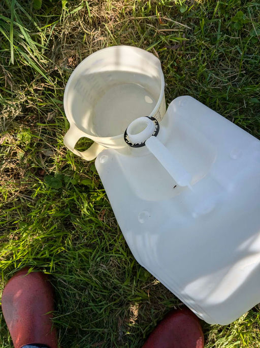 Winterfütterung meiner aktuelle 5 Völker Bild 4