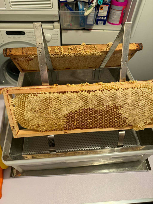 Honig schleudern Bild 1