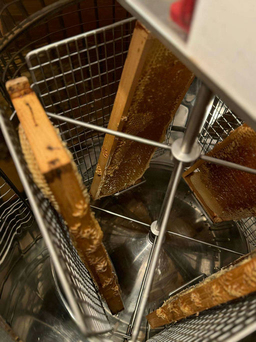 Honig schleudern Bild 2