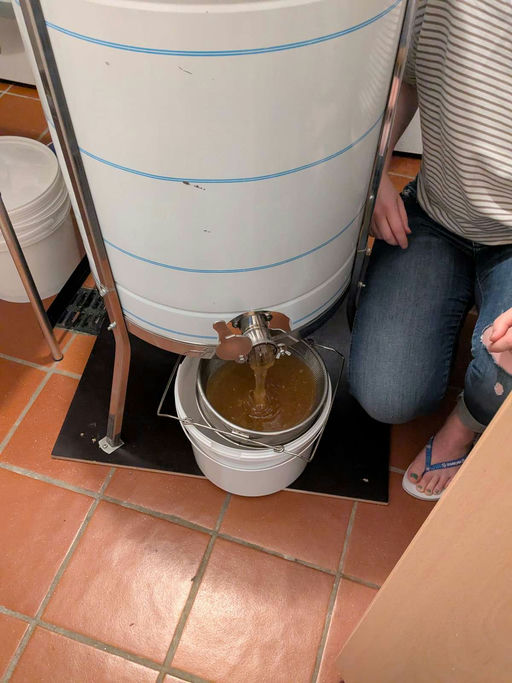 Honig schleudern Bild 3