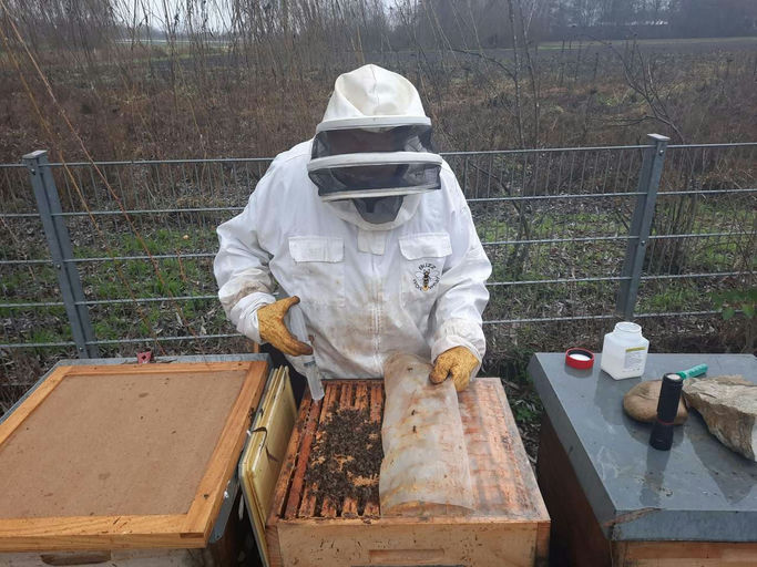 Danke Helma Gastronomie-Service GmbH - Letzte Varroabehandlung 2022 mit Oxalsäure 3,5 Bild 3