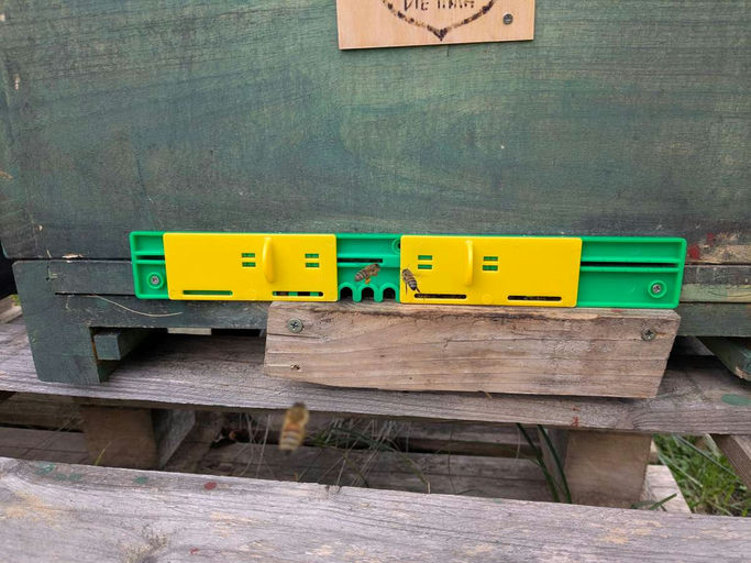 Mäusegitter anbringen Bild 1