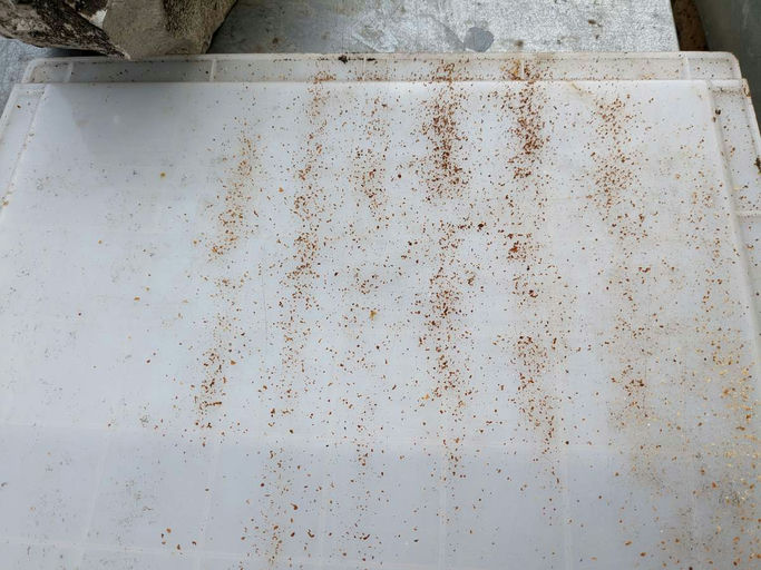 Futterkontrolle Bild 1