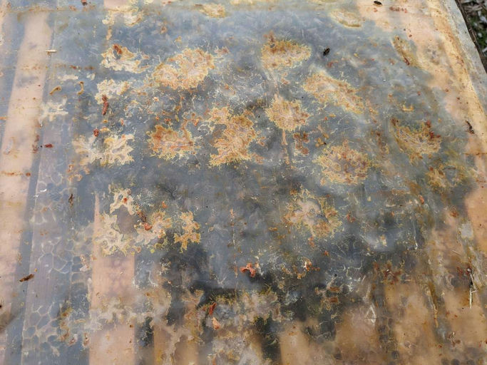 Futterkontrolle Bild 2