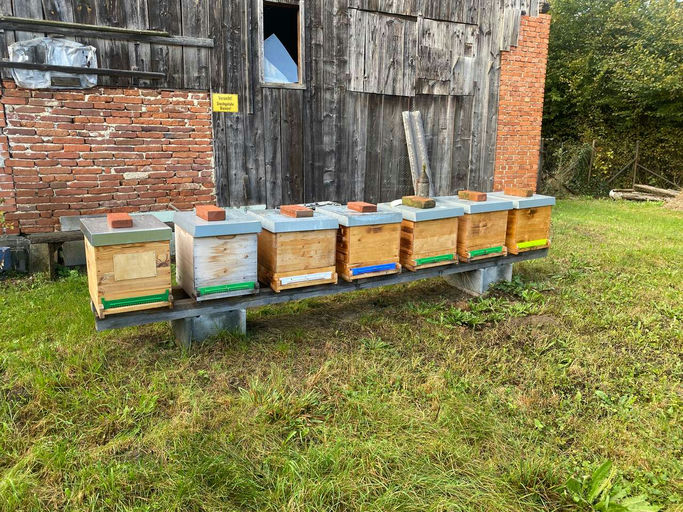 Ruhe kehrt ein im Bienenstock