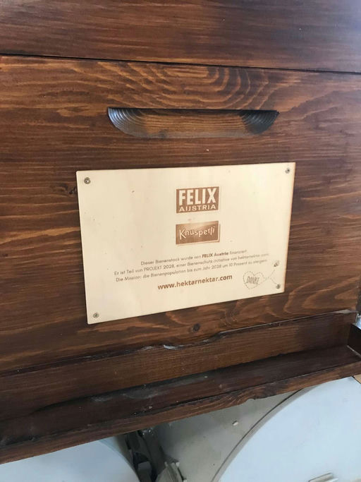 Leider sind noch immer keine Bienen da