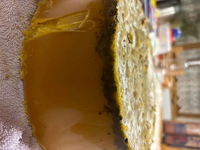 Wachsumarbeiten Bild 1