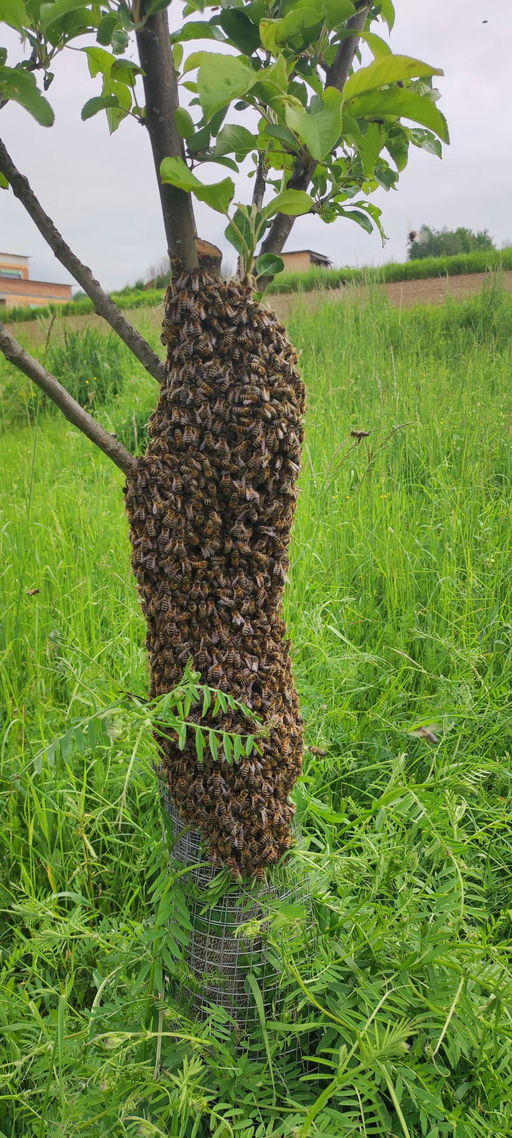 Regen und Arbeit Bild 1